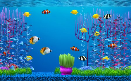 Aquarium Screensaver For Mac Free Download